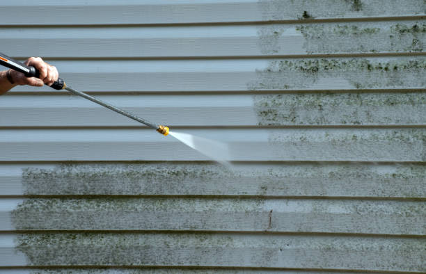 Best Roof Cleaning and Mildew Removal in Olean, NY
